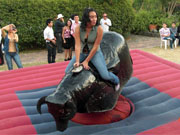 Toro Mecánico