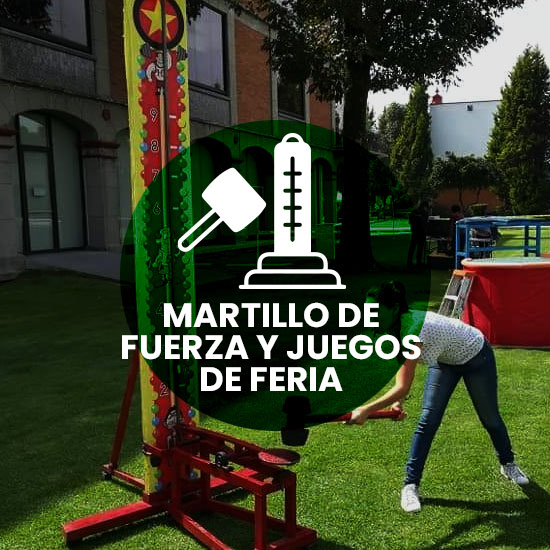 Obleas con Carritos de Exhibición y Stands 